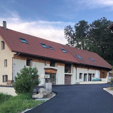 T4 Meuble De 105M2 Axe Annecy-Geneve Apartment Saint-Martin-Bellevue Exterior foto